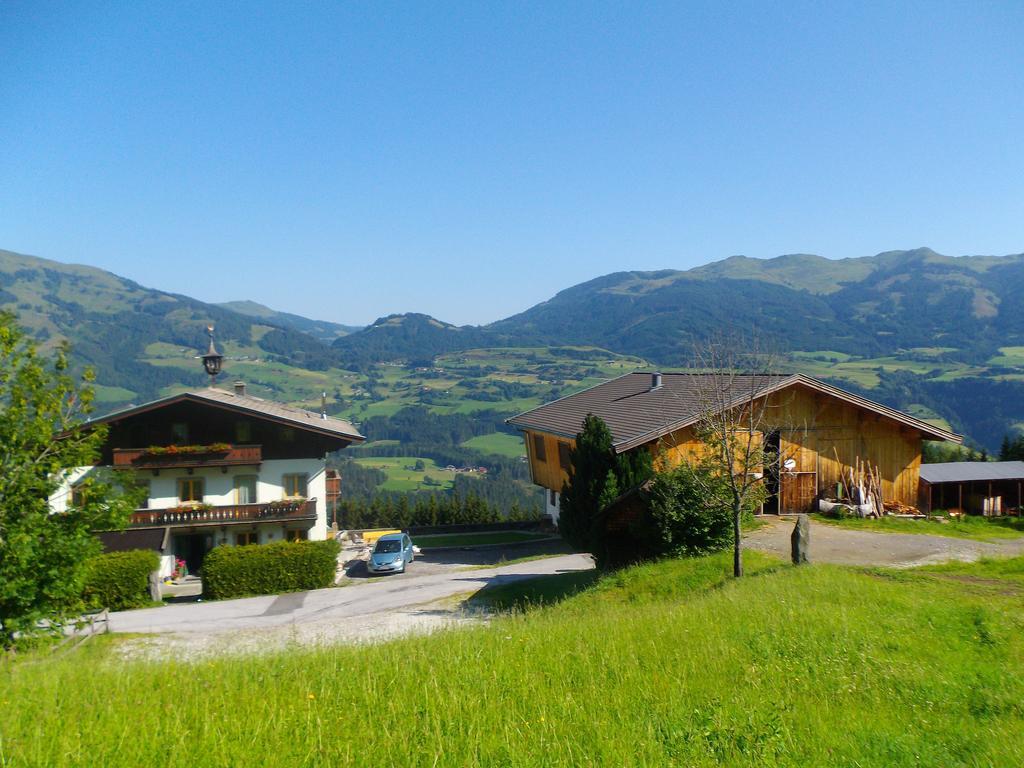 Ferienhaus Hochwimmer Hollersbach im Pinzgau Exterior foto