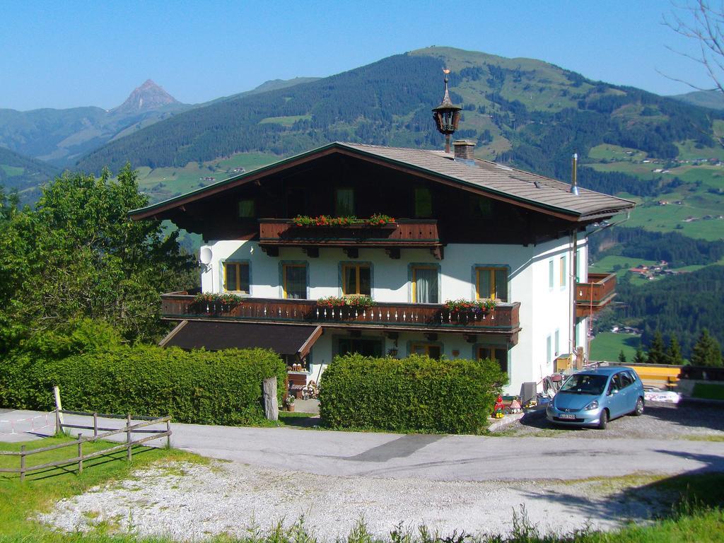 Ferienhaus Hochwimmer Hollersbach im Pinzgau Exterior foto
