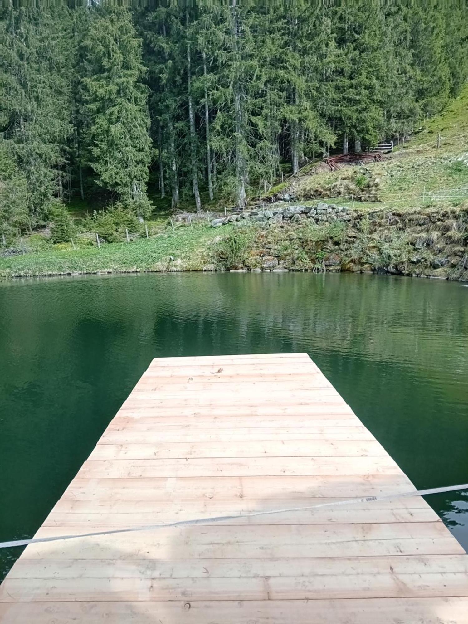 Ferienhaus Hochwimmer Hollersbach im Pinzgau Exterior foto