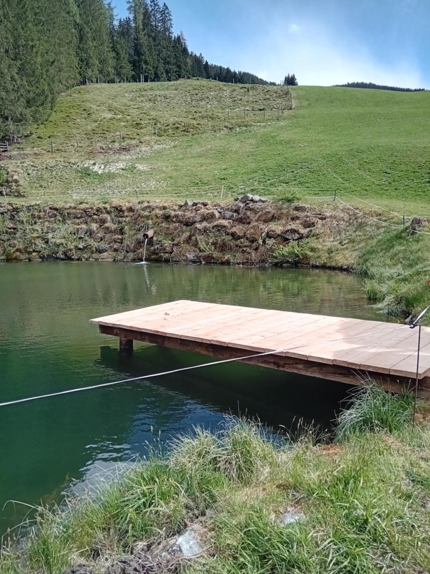 Ferienhaus Hochwimmer Hollersbach im Pinzgau Exterior foto