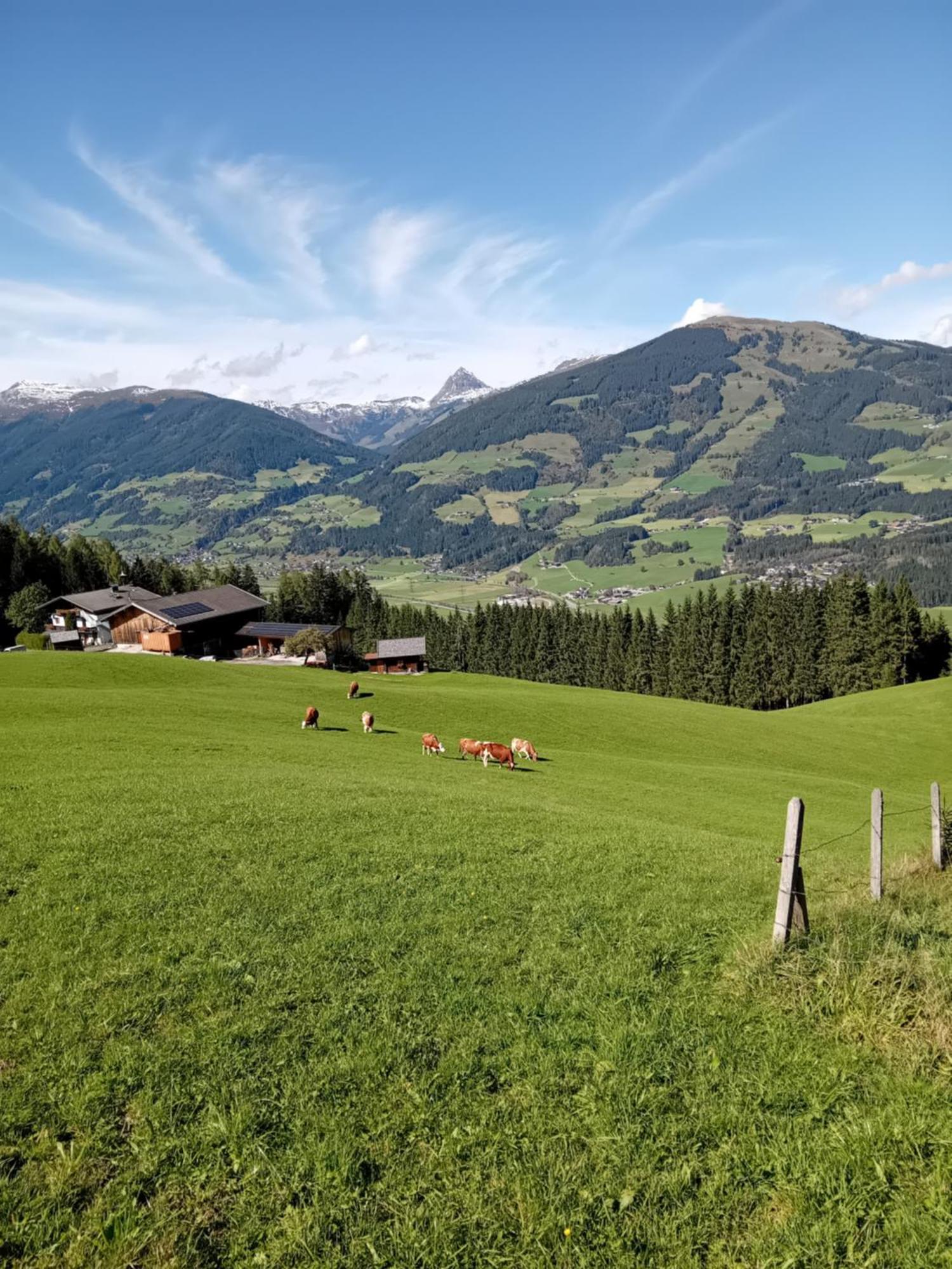 Ferienhaus Hochwimmer Hollersbach im Pinzgau Exterior foto